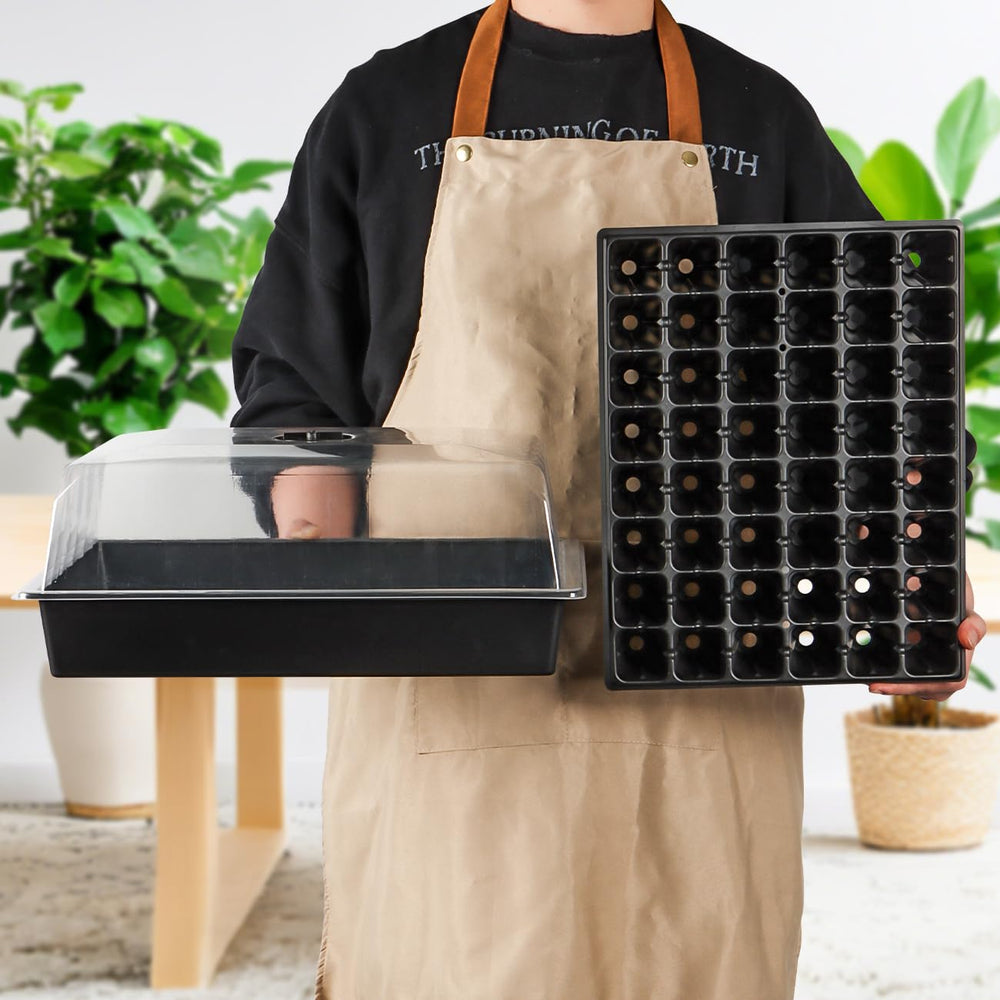 RooTrimmer lifestyle windowsill setup showing practical indoor gardening use