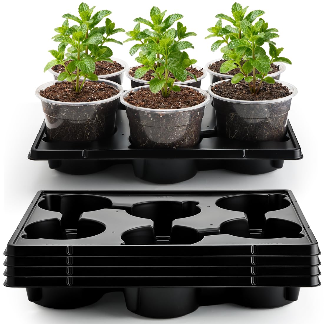 RooTrimmer maceta 6" frontal mostrando transparencia y control del sustrato