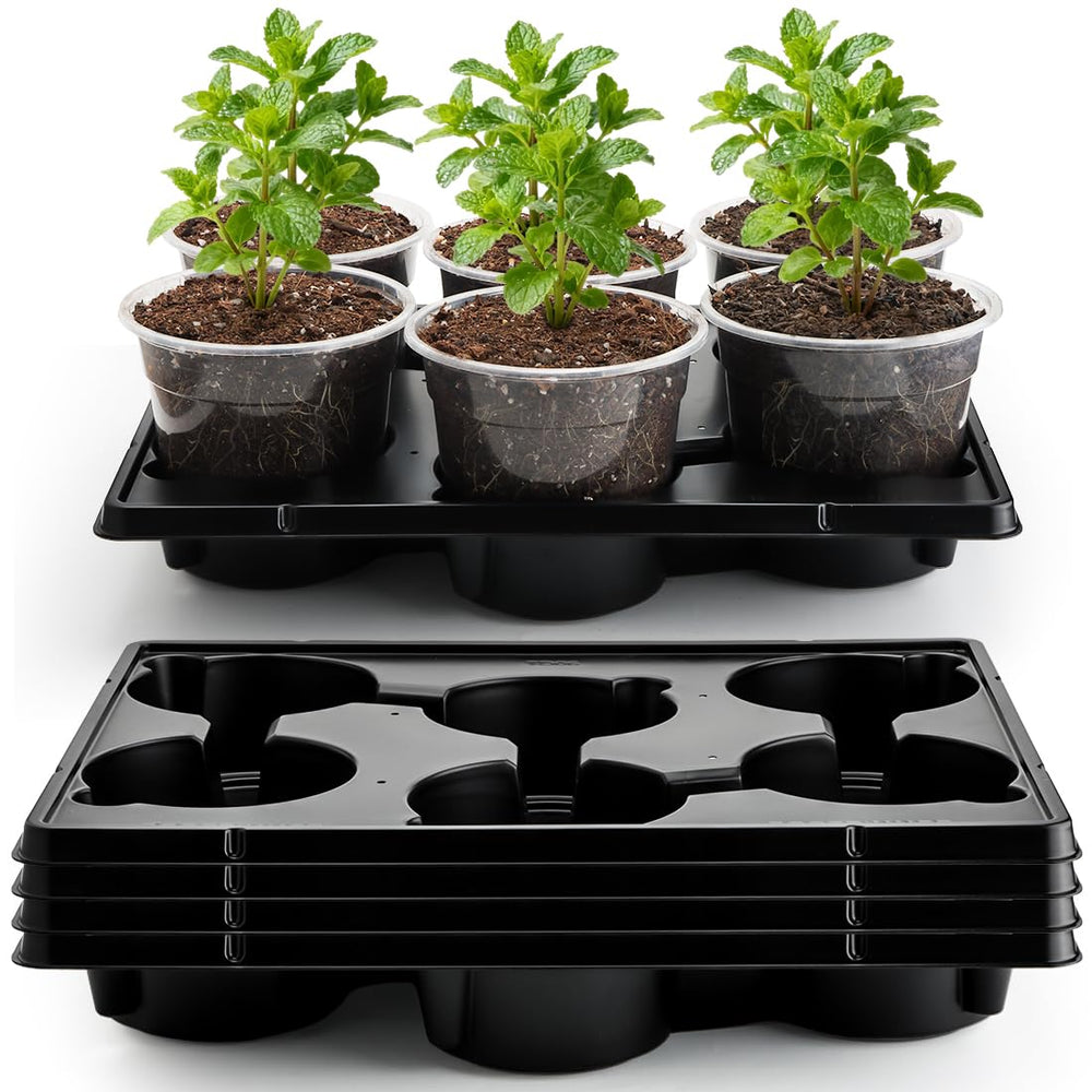 RooTrimmer maceta 6" frontal mostrando transparencia y control del sustrato