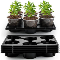 RooTrimmer maceta 6" frontal mostrando transparencia y control del sustrato