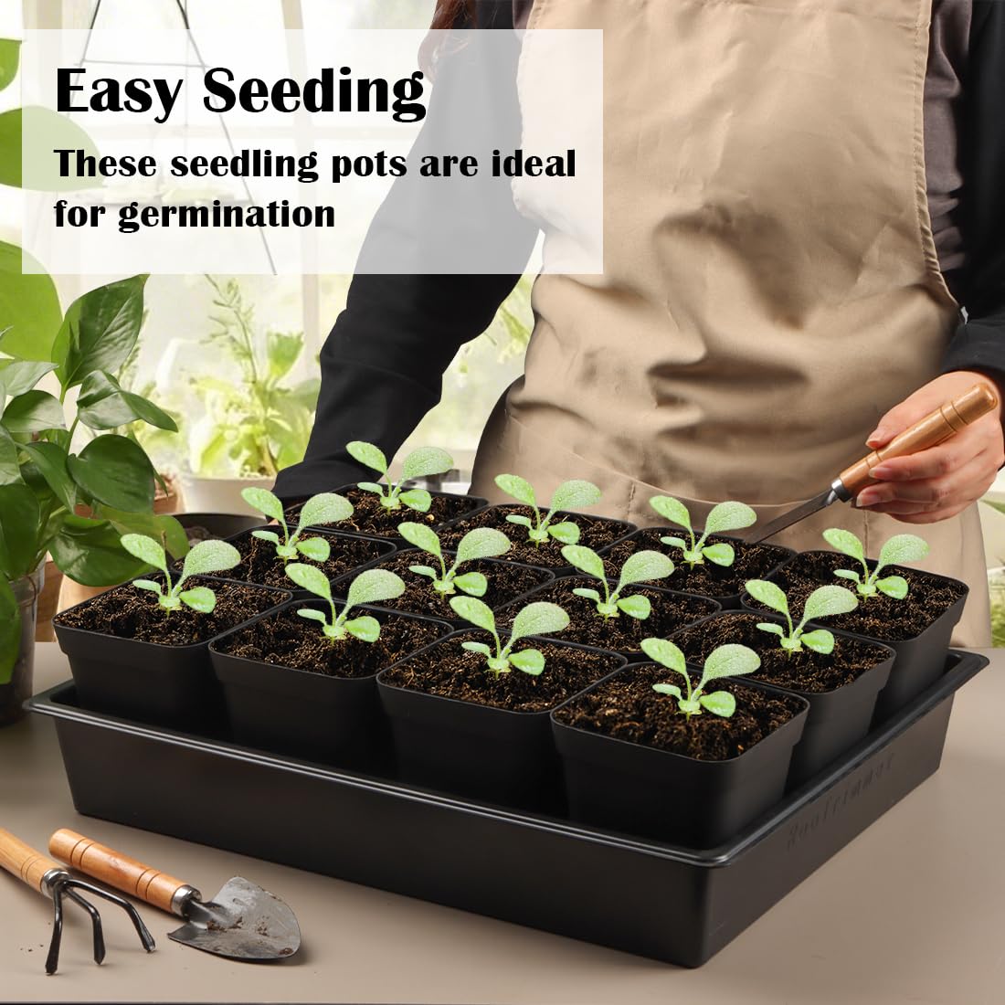 RooTrimmer microgreens grown in tray demonstrating even germination and harvestable greens