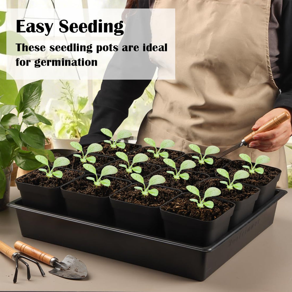 RooTrimmer microgreens grown in tray demonstrating even germination and harvestable greens