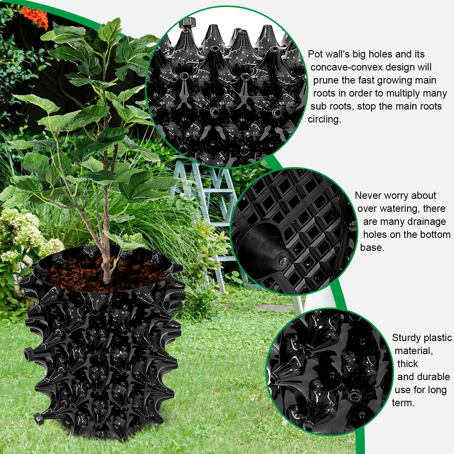 RooTrimmer plant in pot ready to transplant demonstrating intact root ball removal benefit