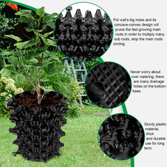 RooTrimmer plant in pot ready to transplant demonstrating intact root ball removal benefit