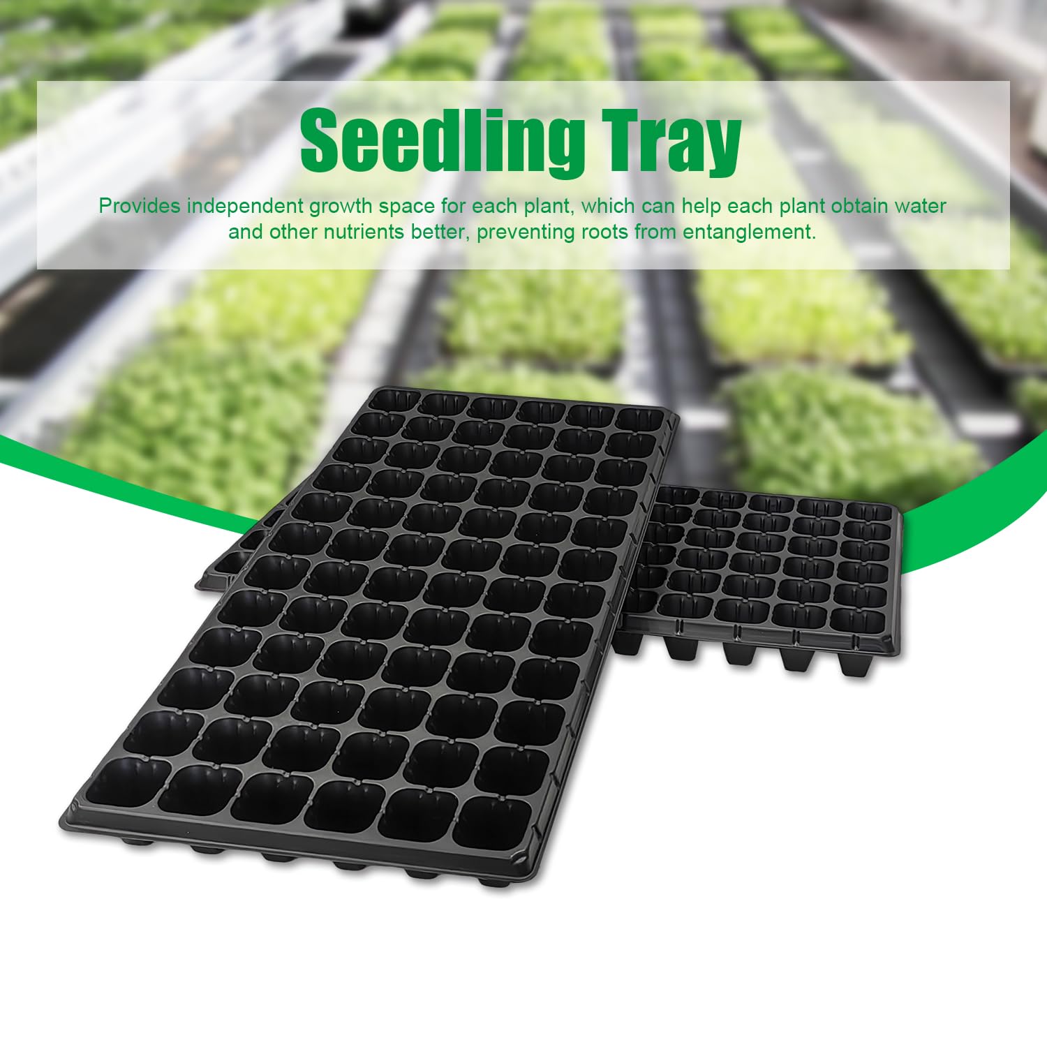 RooTrimmer tray with seedlings showing neat spacing and easy transplanting