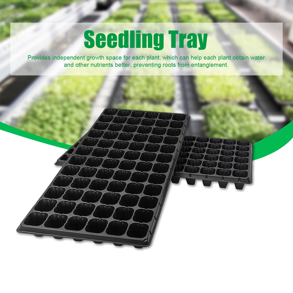 RooTrimmer tray with seedlings showing neat spacing and easy transplanting