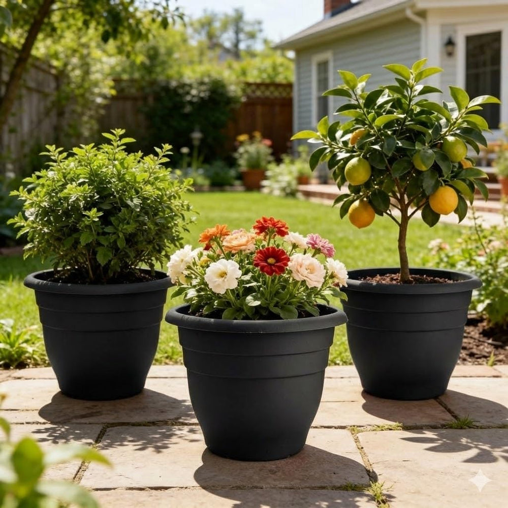 RooTrimmer planter in use with fiddle-leaf fig demonstrating stylish display