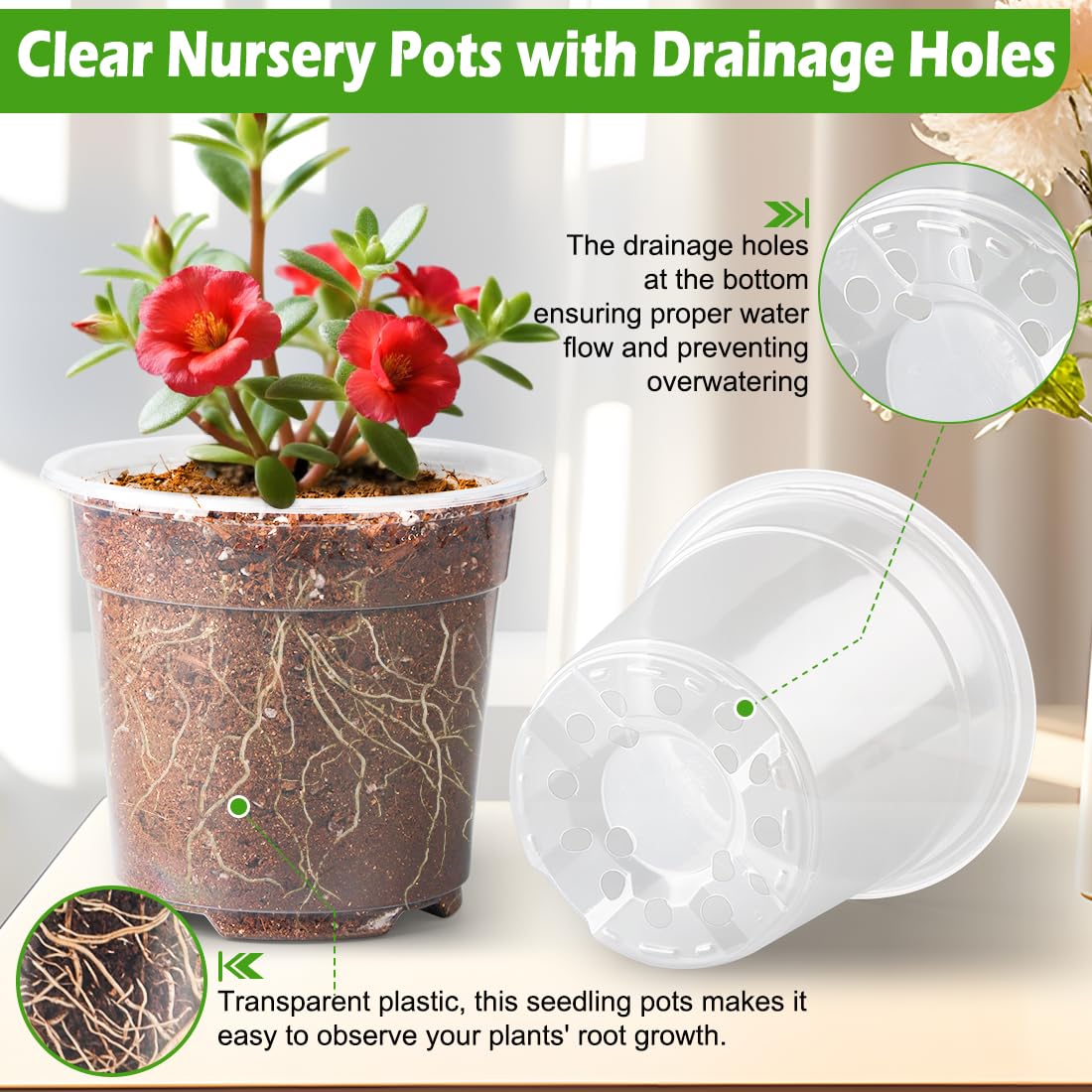 RooTrimmer pot in use with seedlings demonstrating healthy early growth
