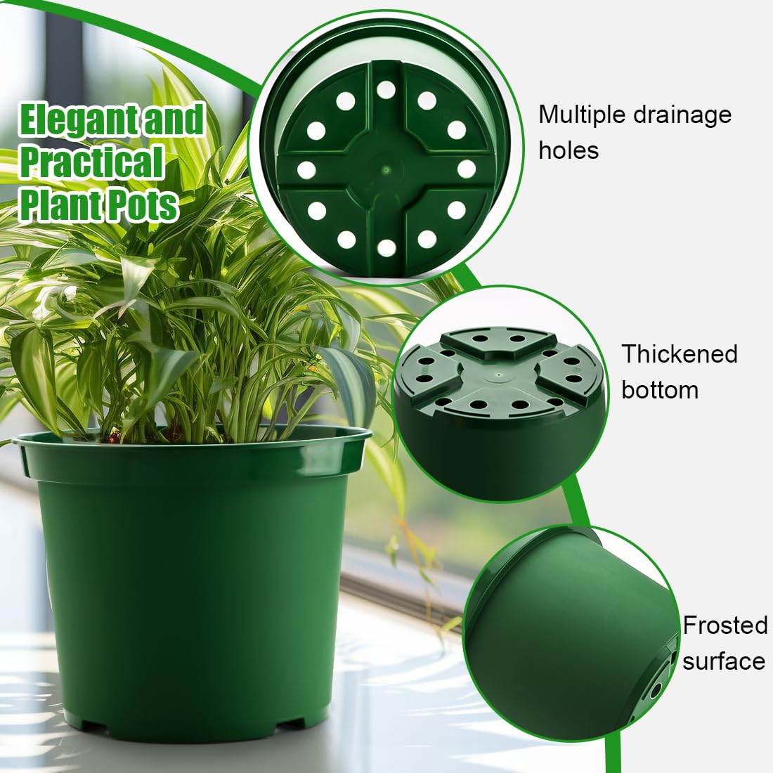 RooTrimmer 10-inch pot with herb planted demonstrating easy transplanting