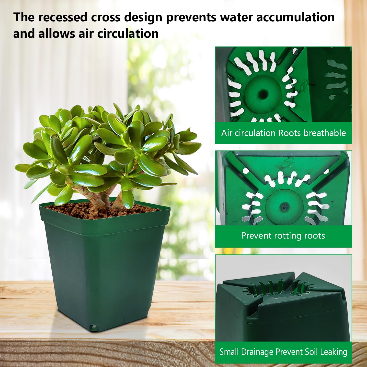RooTrimmer pot in use with a succulent demonstrating transplant-ready depth and stability