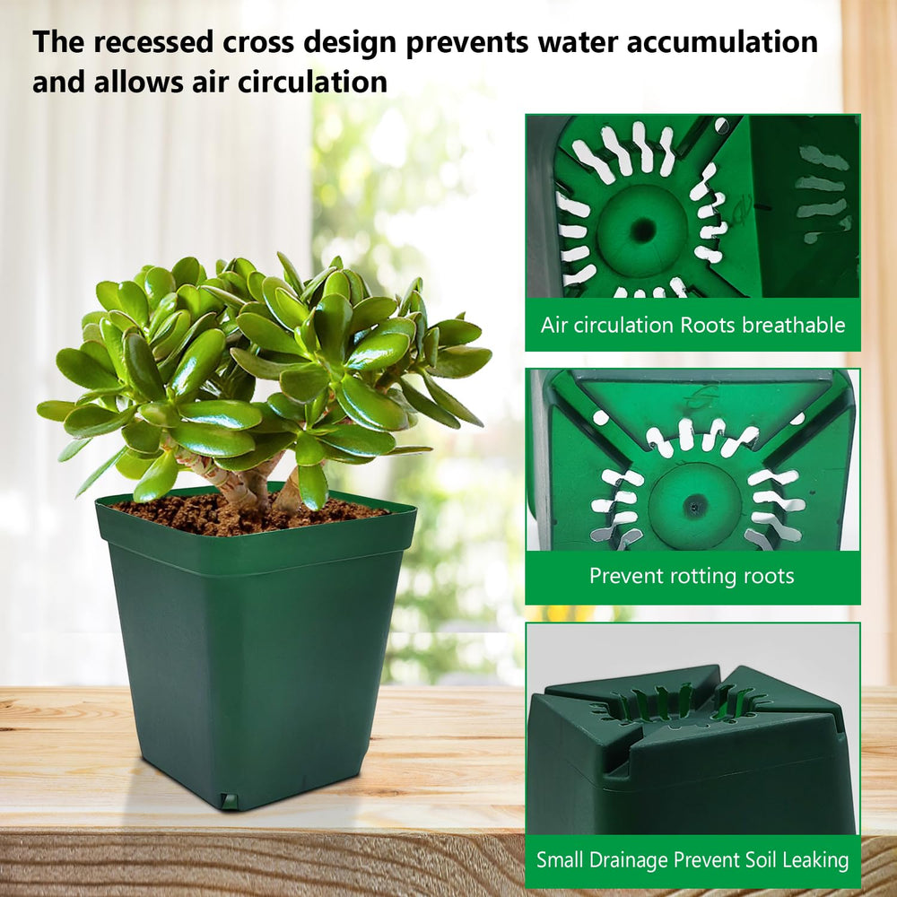 RooTrimmer pot in use with a succulent demonstrating transplant-ready depth and stability