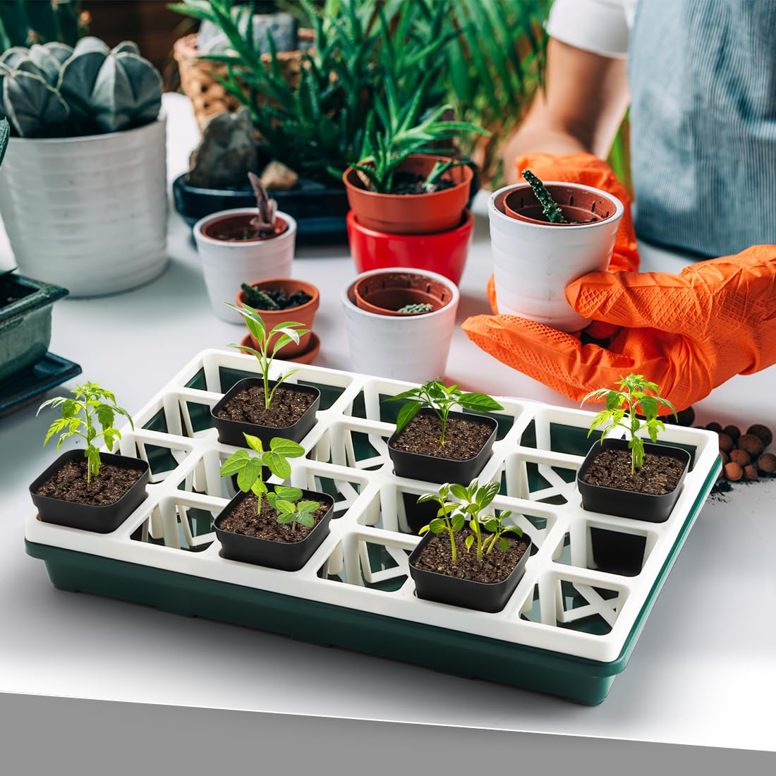 RooTrimmer tray held by hand to show scale and easy handling for gardeners