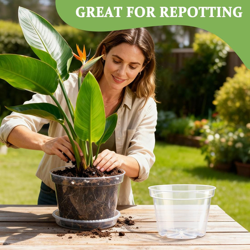 RooTrimmer pot next to ruler showing 10-inch scale and size clarity benefit