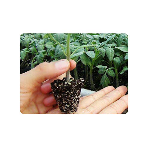 RooTrimmer tray next to a hand showing scale for convenient handling and space-saving design