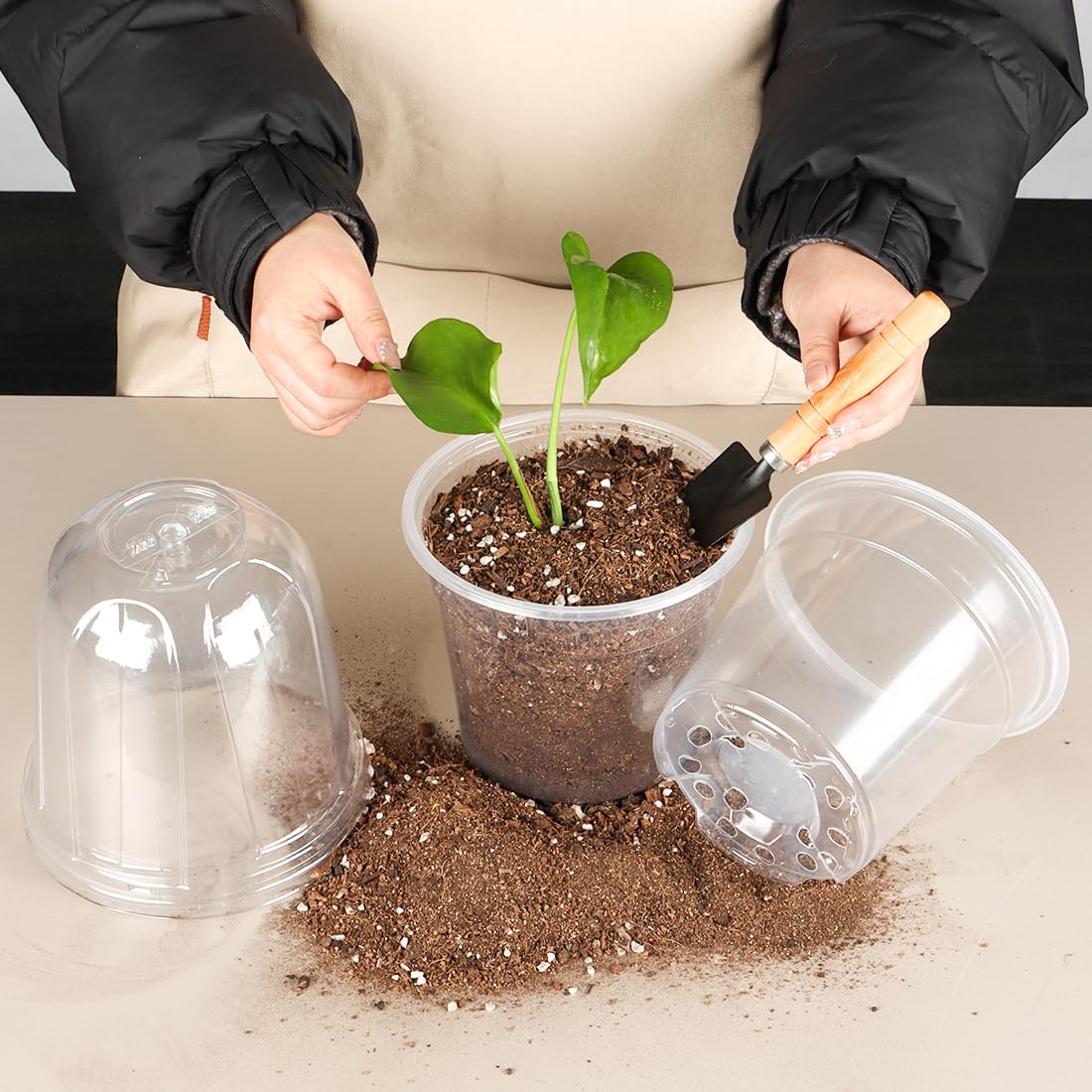 RooTrimmer pot beside ruler showing 6-inch scale for space planning benefit
