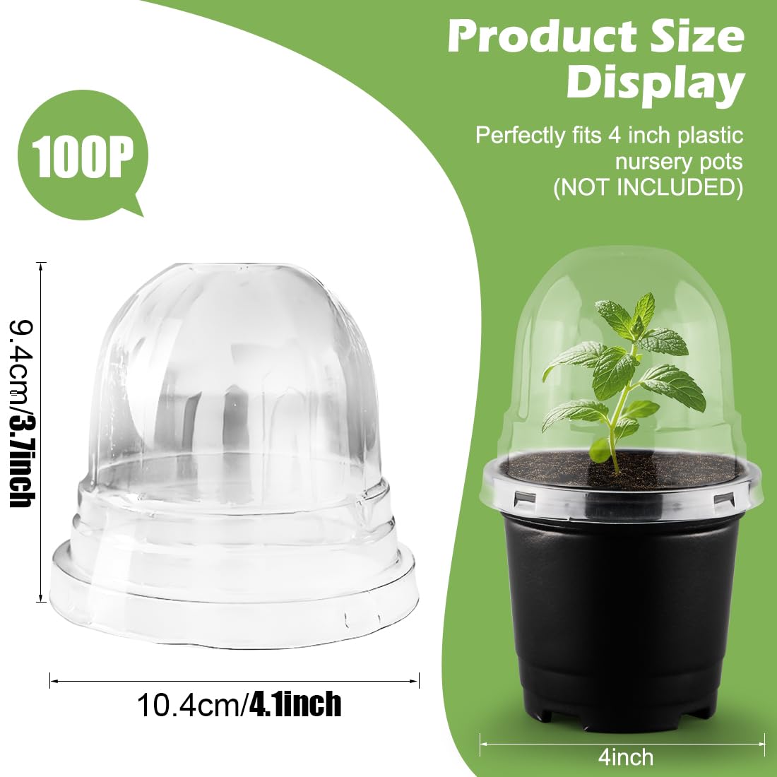 RooTrimmer dome beside a ruler showing size fit for 4-inch pots benefit