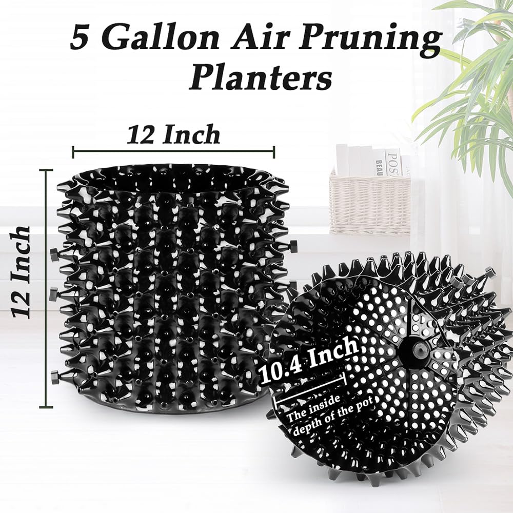 RooTrimmer pot next to ruler showing 12x12 inch size for quick sizing decisions
