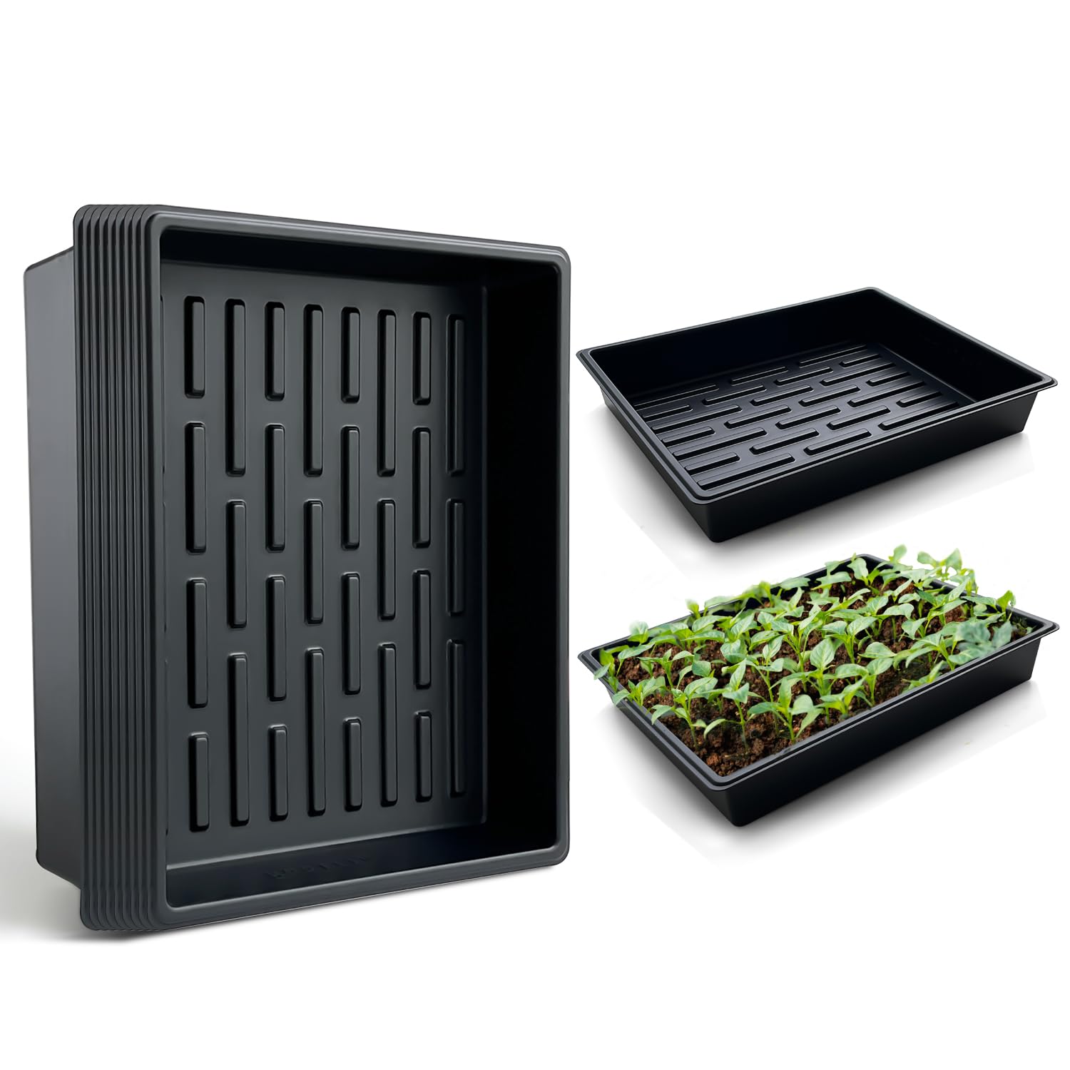 RooTrimmer seed tray front view showing durable black tray, ideal for organized planting