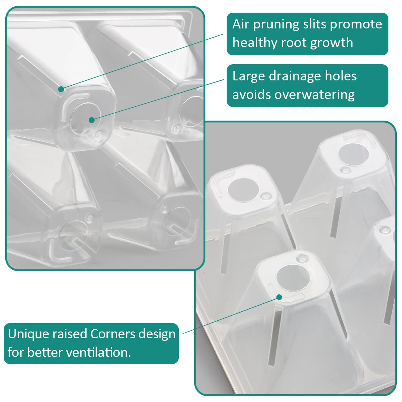 RooTrimmer tray with visible seedling roots for simple root growth observation benefit