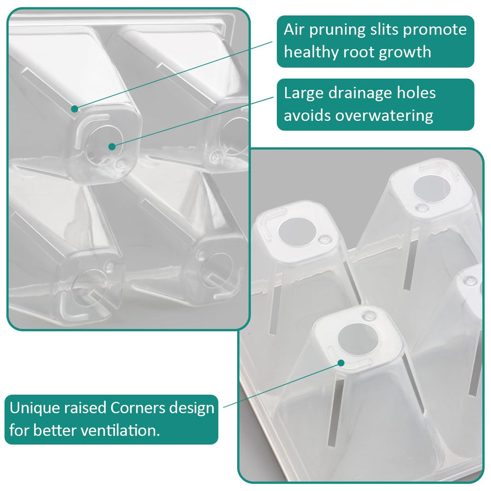 RooTrimmer tray with visible seedling roots for simple root growth observation benefit