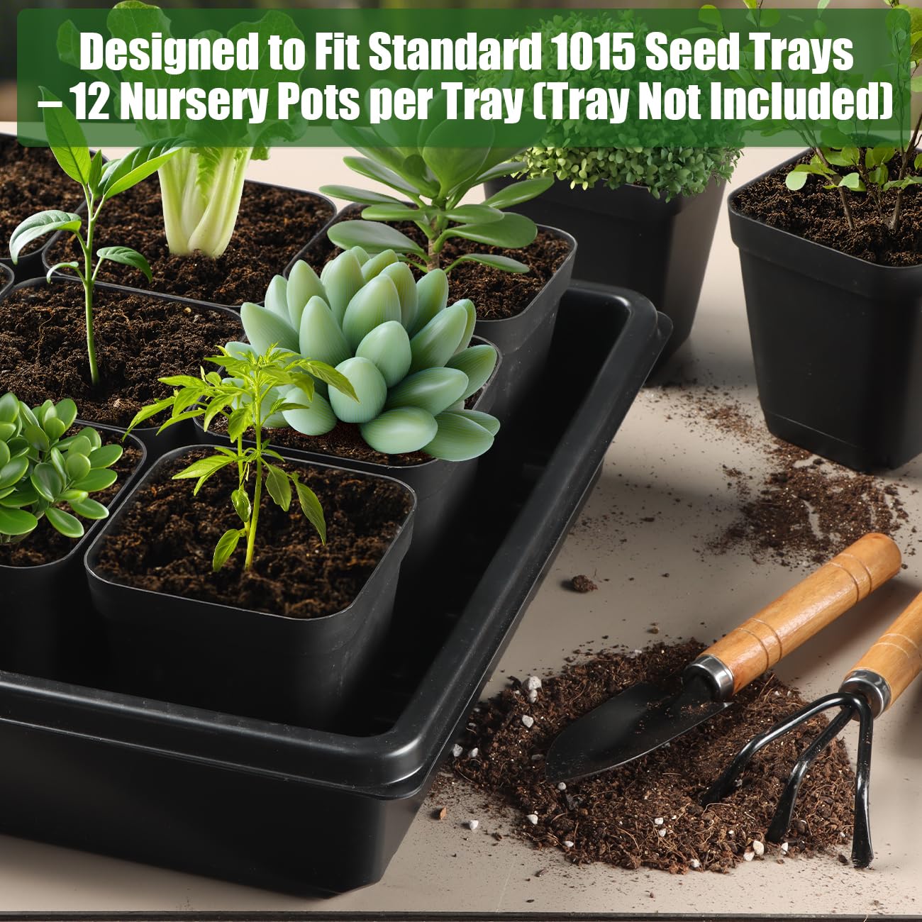 RooTrimmer young seedlings planted in pots highlighting healthy early growth