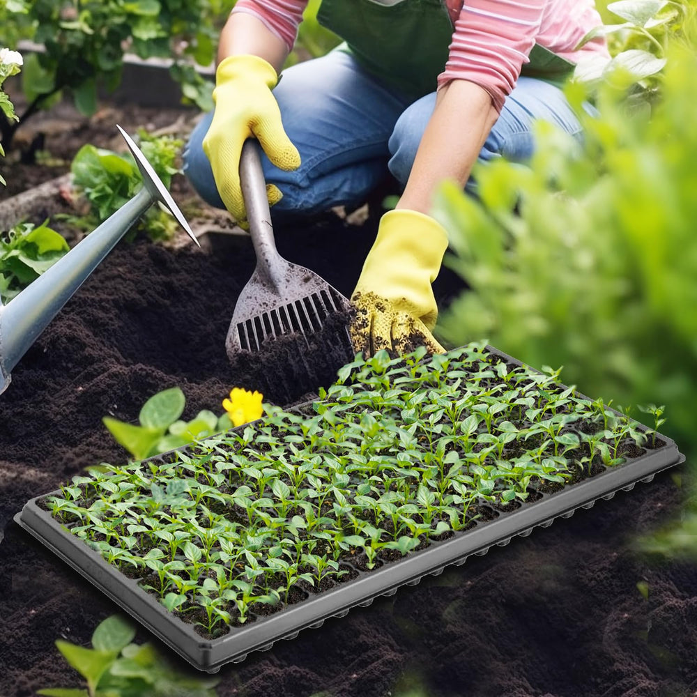 RooTrimmer trays with young seedlings demonstrating organized growth and easy transplanting