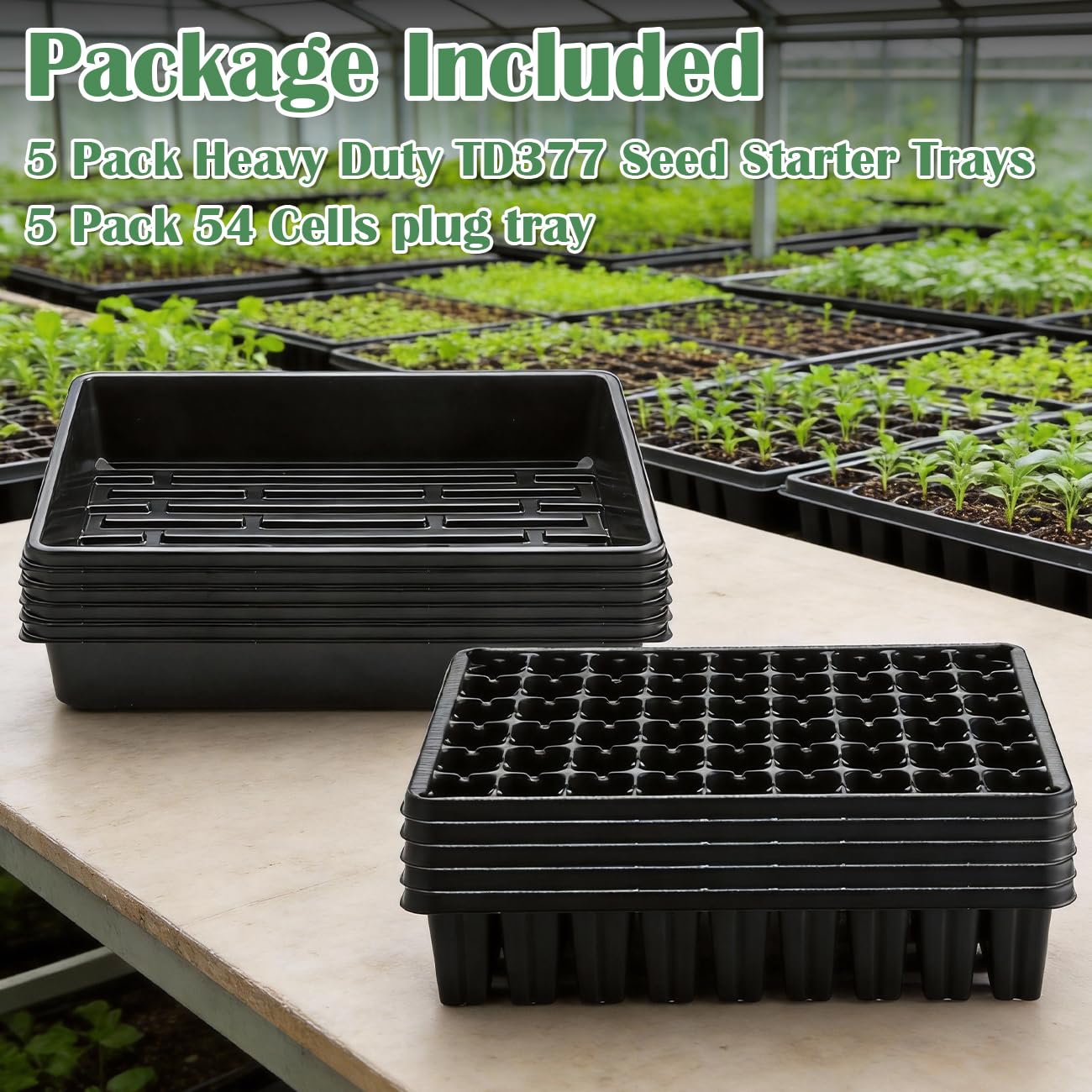 RooTrimmer seedlings in trays ready for transplant reducing shock