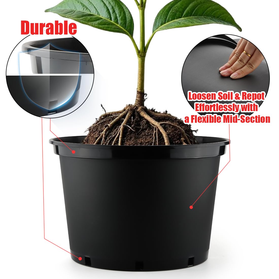RooTrimmer side drainage holes visible to prevent overwatering benefit