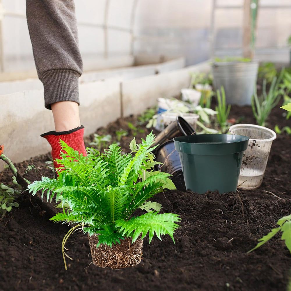 RooTrimmer size comparison with hand showing convenient 6-inch scale for seedlings