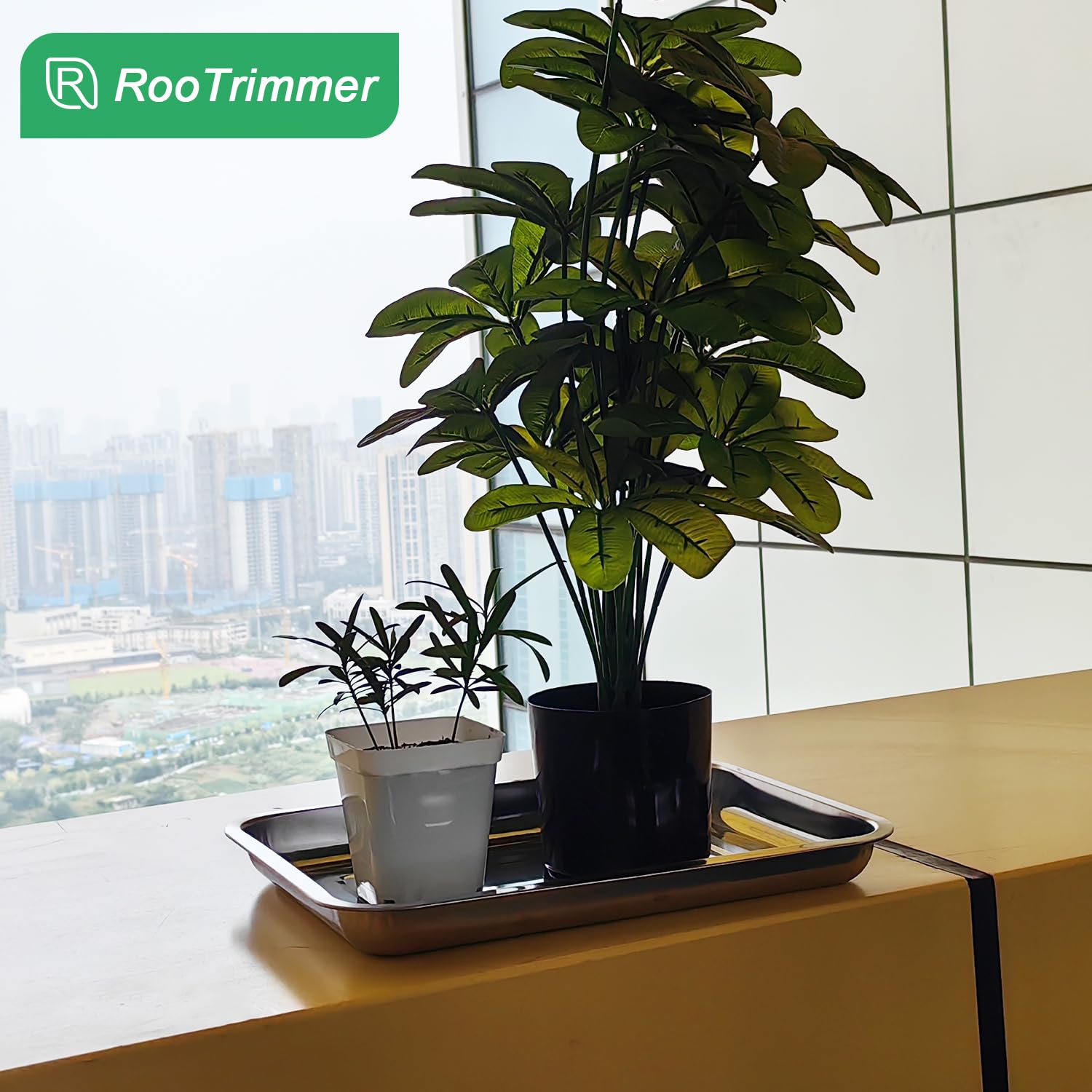 RooTrimmer tray beside ruler showing dimensions for correct sizing and fit