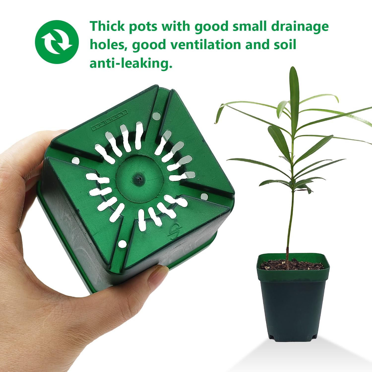 RooTrimmer pot beside a ruler showing 3.94 inch size for accurate tray planning