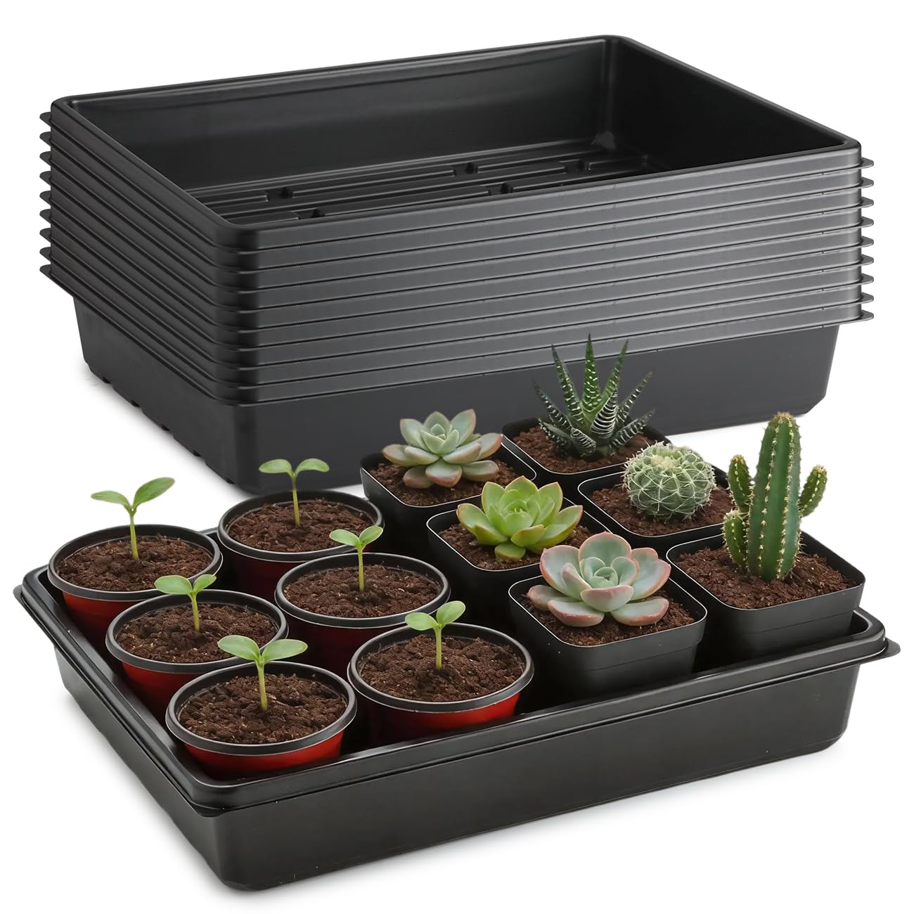 RooTrimmer tray held in hand to show size and sturdy handling benefit