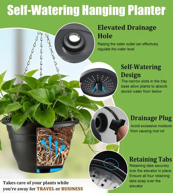 RooTrimmer interior view of soil elevator keeping roots aerated and preventing waterlogging