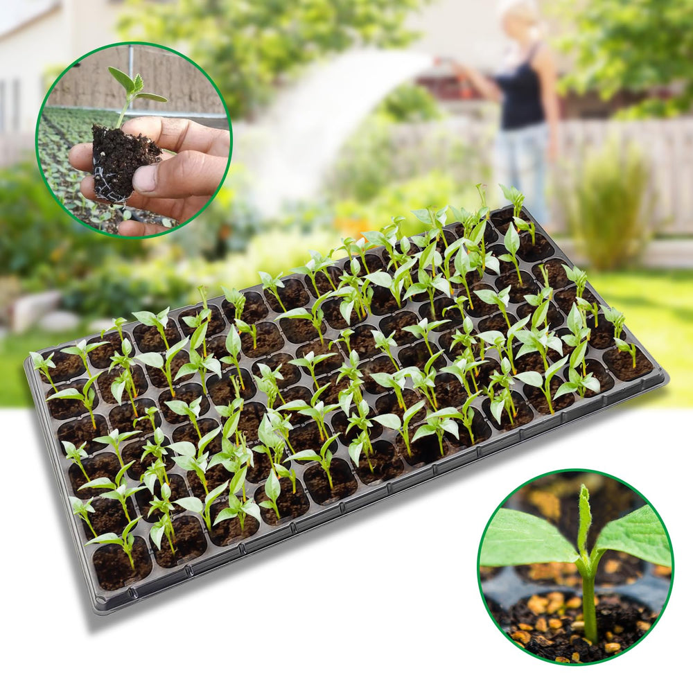 RooTrimmer stacked empty trays saving storage space and staying durable