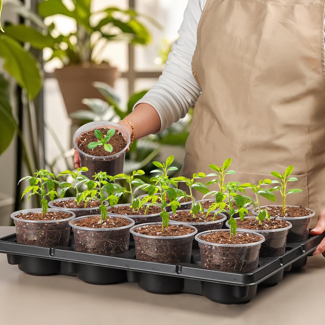 RooTrimmer stacked trays for compact storage and efficient space saving