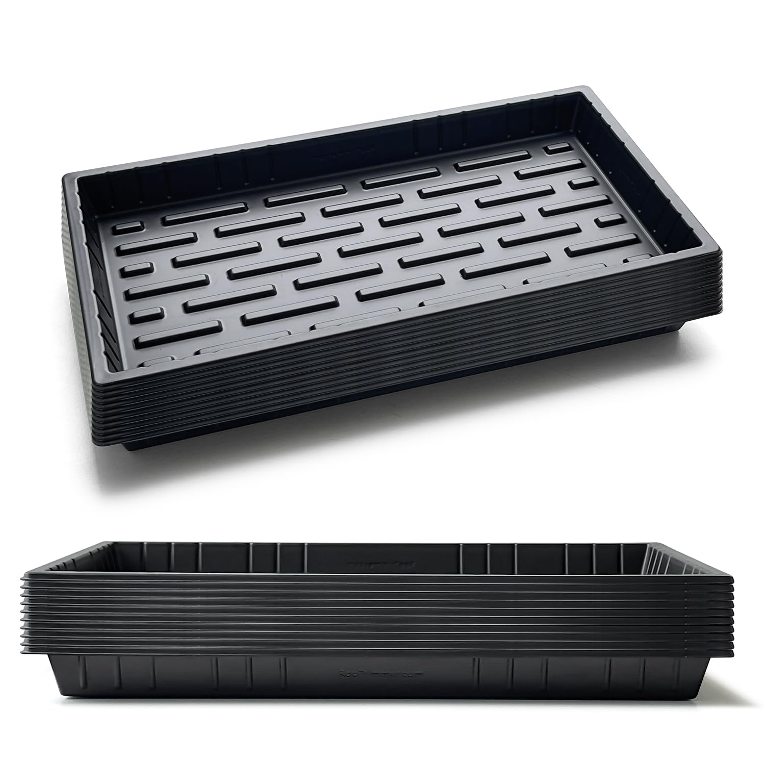 RooTrimmer front view showing full 21×11 tray and stable flat base for propagation