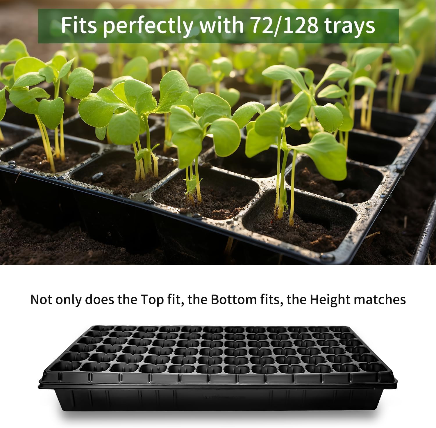 RooTrimmer tray with microgreens growing to illustrate no-drainage moisture control benefit