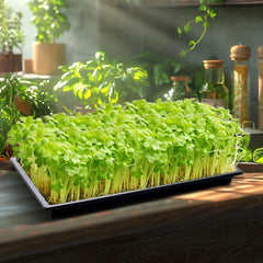 RooTrimmer side profile highlighting 1.6-inch depth and sturdy walls for handling