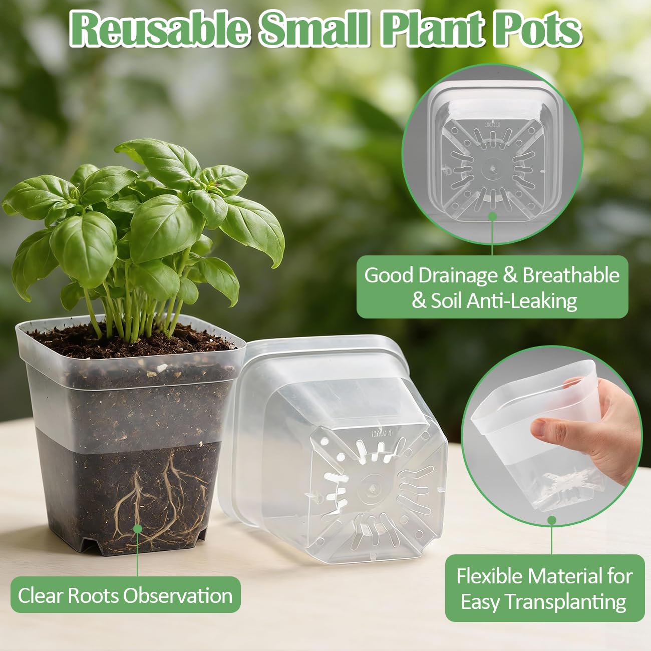 RooTrimmer transparent bottom revealing roots and moisture for quick checks