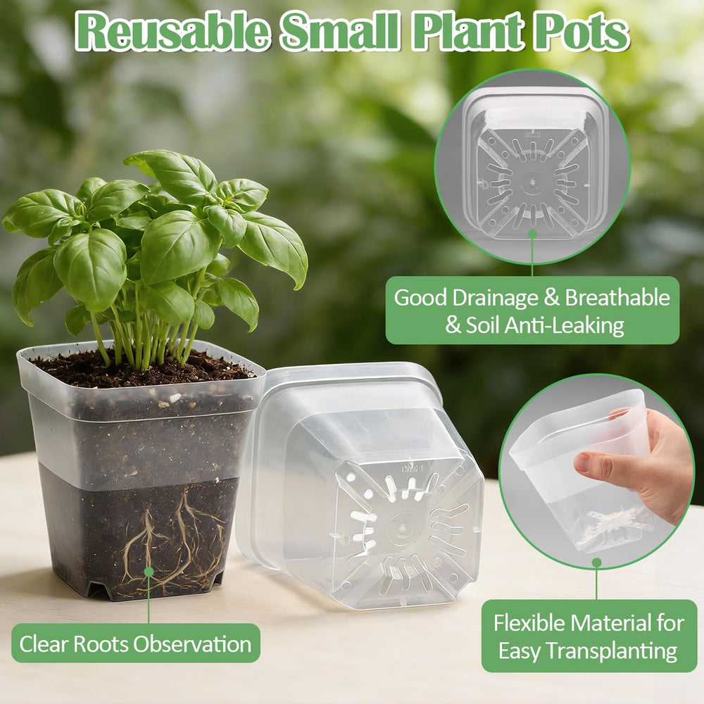 RooTrimmer transparent bottom revealing roots and moisture for quick checks