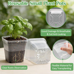 RooTrimmer transparent bottom revealing roots and moisture for quick checks