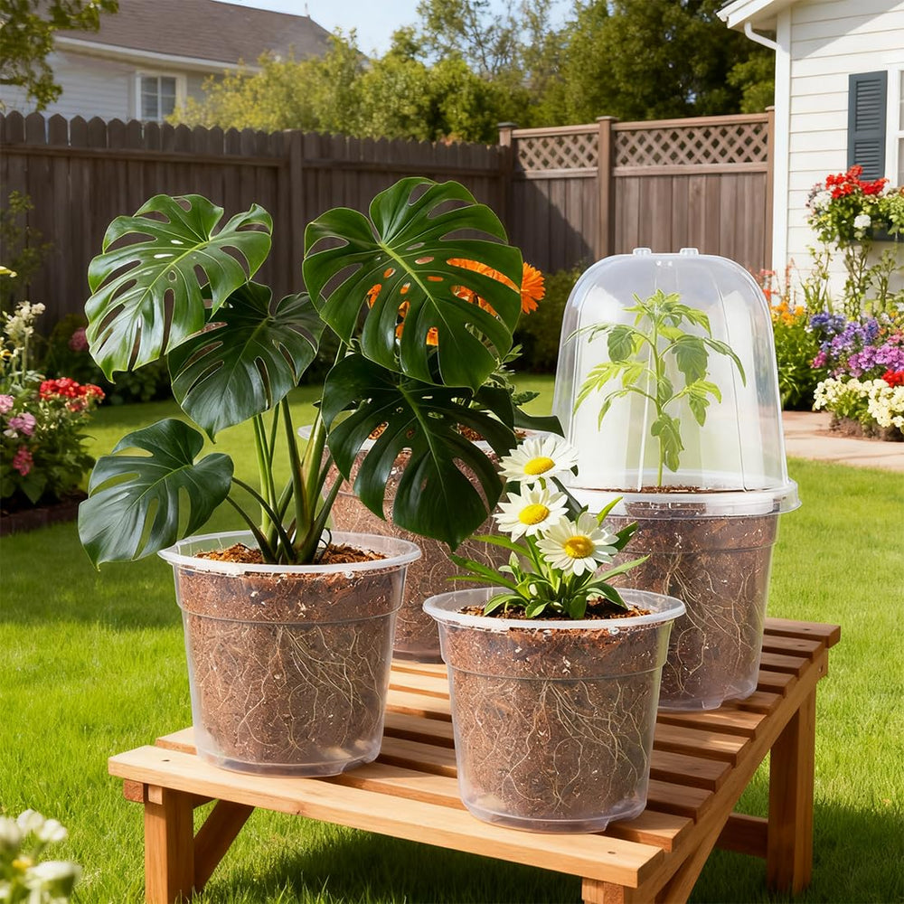 RooTrimmer clear pot side view revealing visible root growth and moisture cues