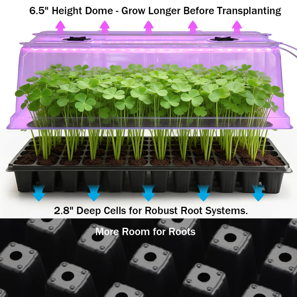 RooTrimmer demonstration of popping out a plug for quick transplanting benefit