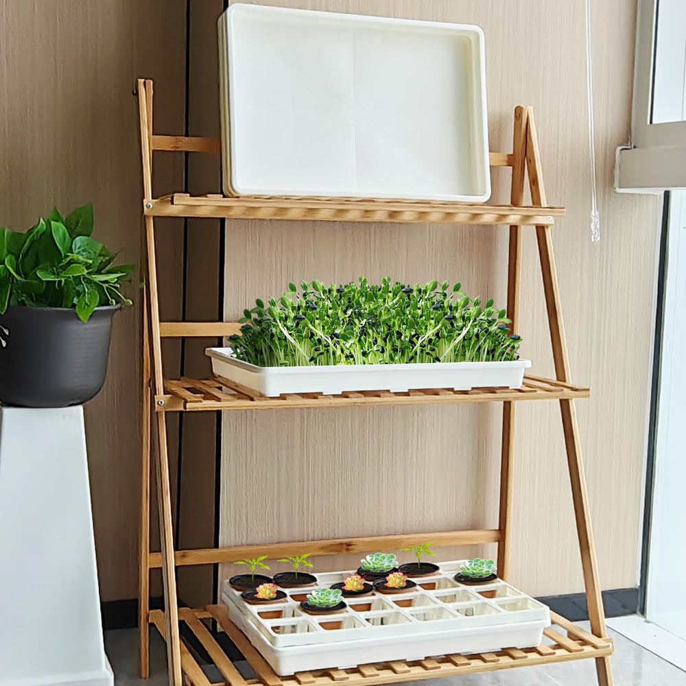 RooTrimmer tray held by hands showing ease of carrying multiple pots safely