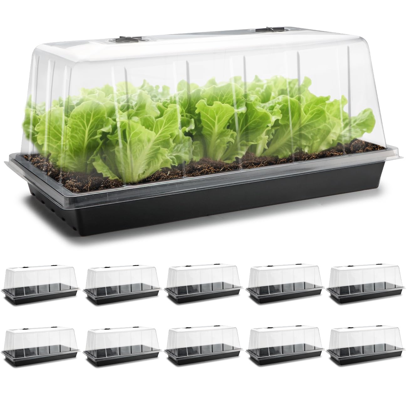 RooTrimmer tray front view showing clear dome and sturdy base, organized propagation