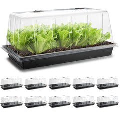 RooTrimmer tray front view showing clear dome and sturdy base, organized propagation