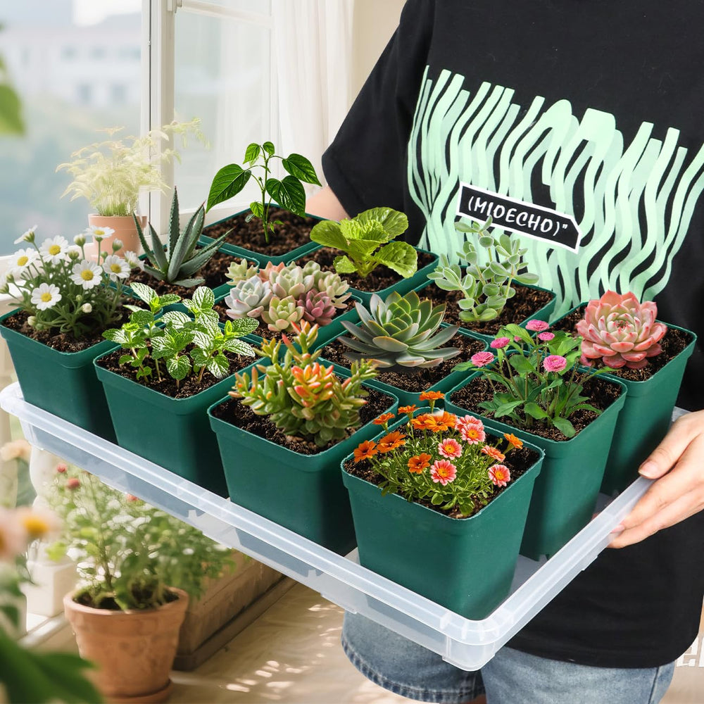 RooTrimmer tray on greenhouse shelf demonstrating organized indoor growing