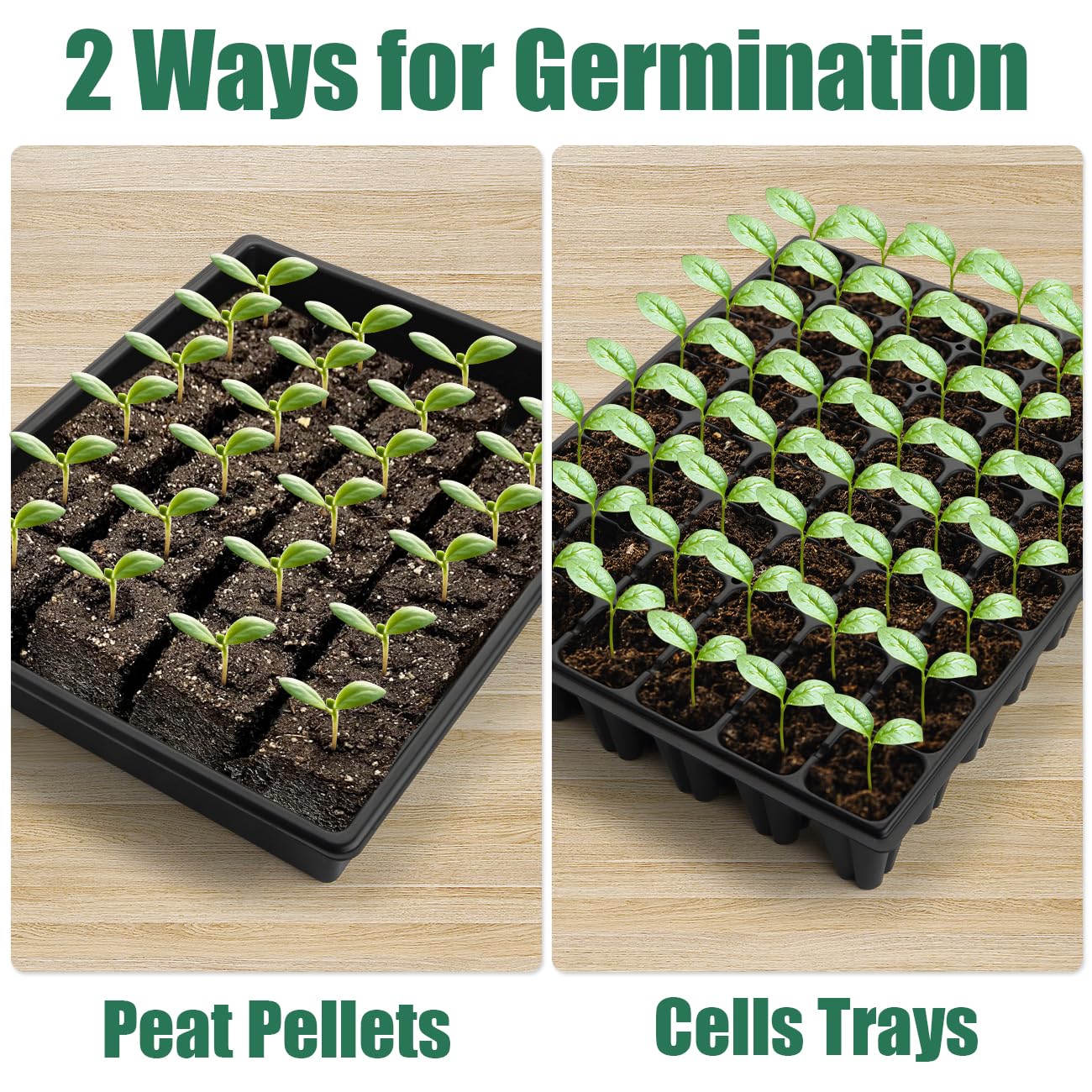 RooTrimmer tray on heat mat showing size fit and efficient propagation