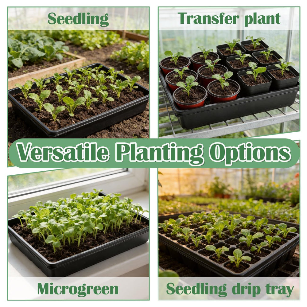 RooTrimmer tray placed on a heat mat for consistent germination support