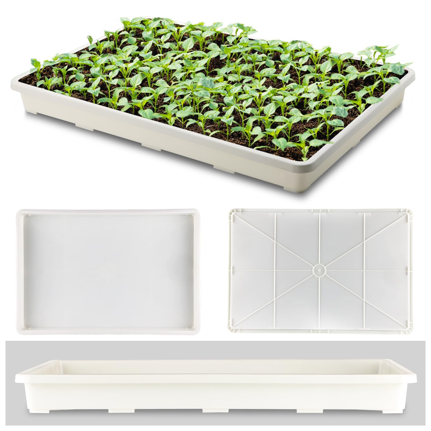 RooTrimmer tray fitted with 24-cell pots demonstrating secure pot fit for transport
